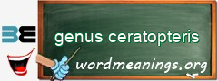 WordMeaning blackboard for genus ceratopteris